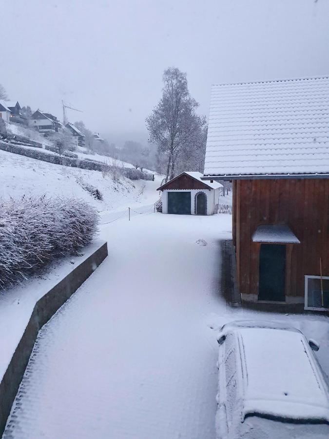 Ferienhaus Familienparadies: Indoor-Spielplatz, Pool und Sauna für 18 Personen Schmallenberg Exterior photo